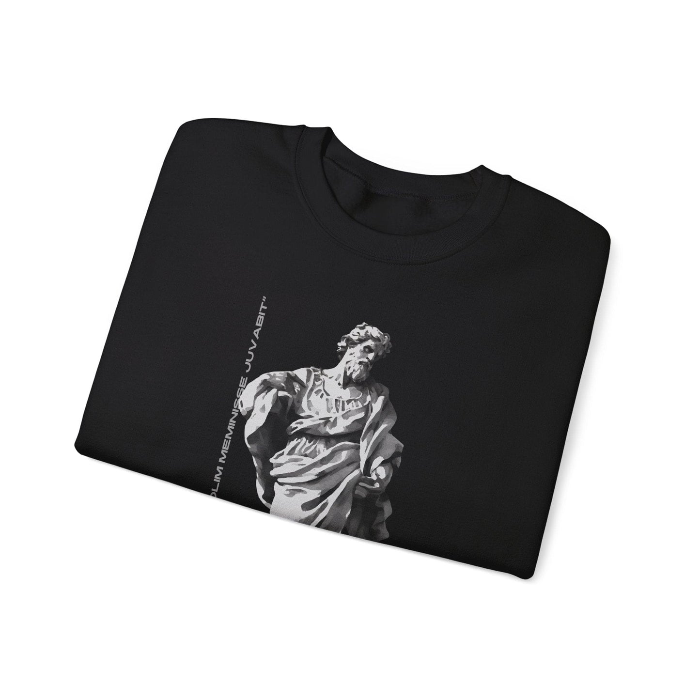 MEN'S "AUDENTES FORTUNA" SWEATSHIRT