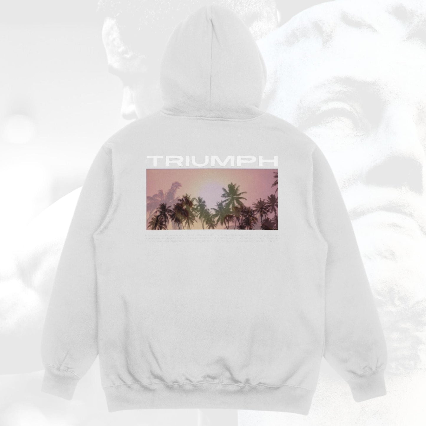 "TRIUMPH" HOODIE